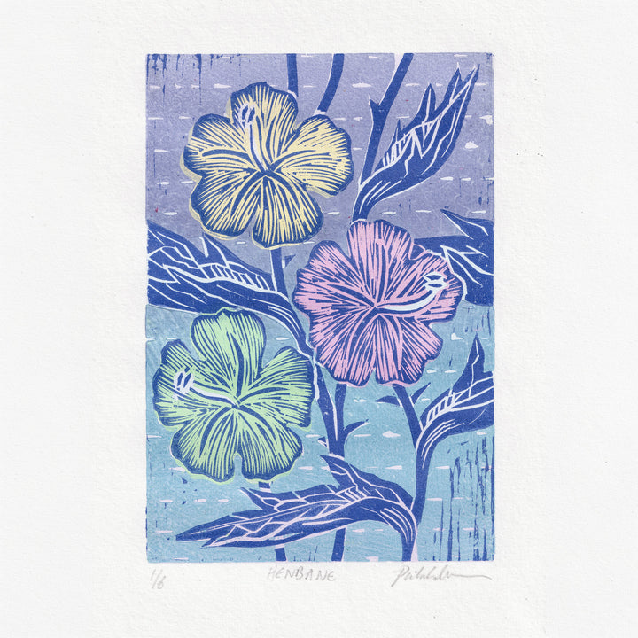 Henbane – Woodcut Pastel