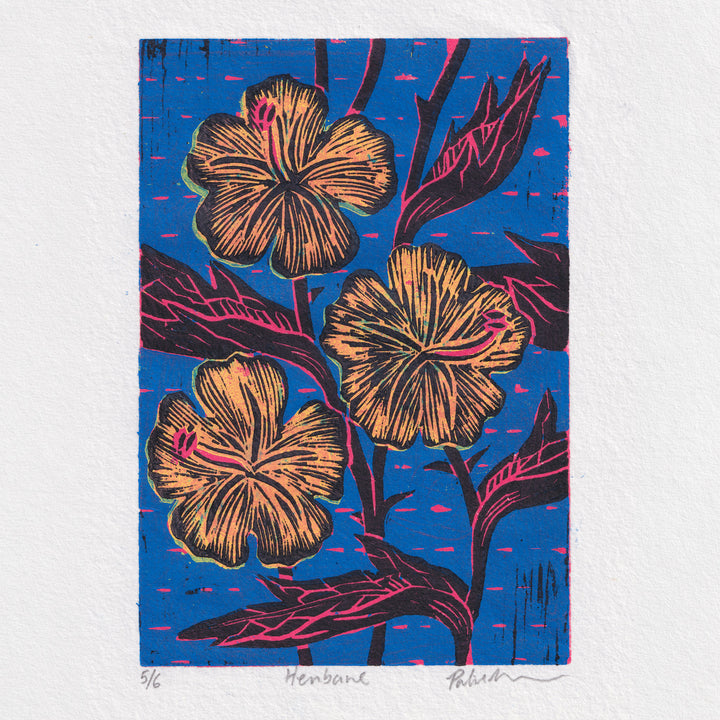 Henbane – Woodcut Bold