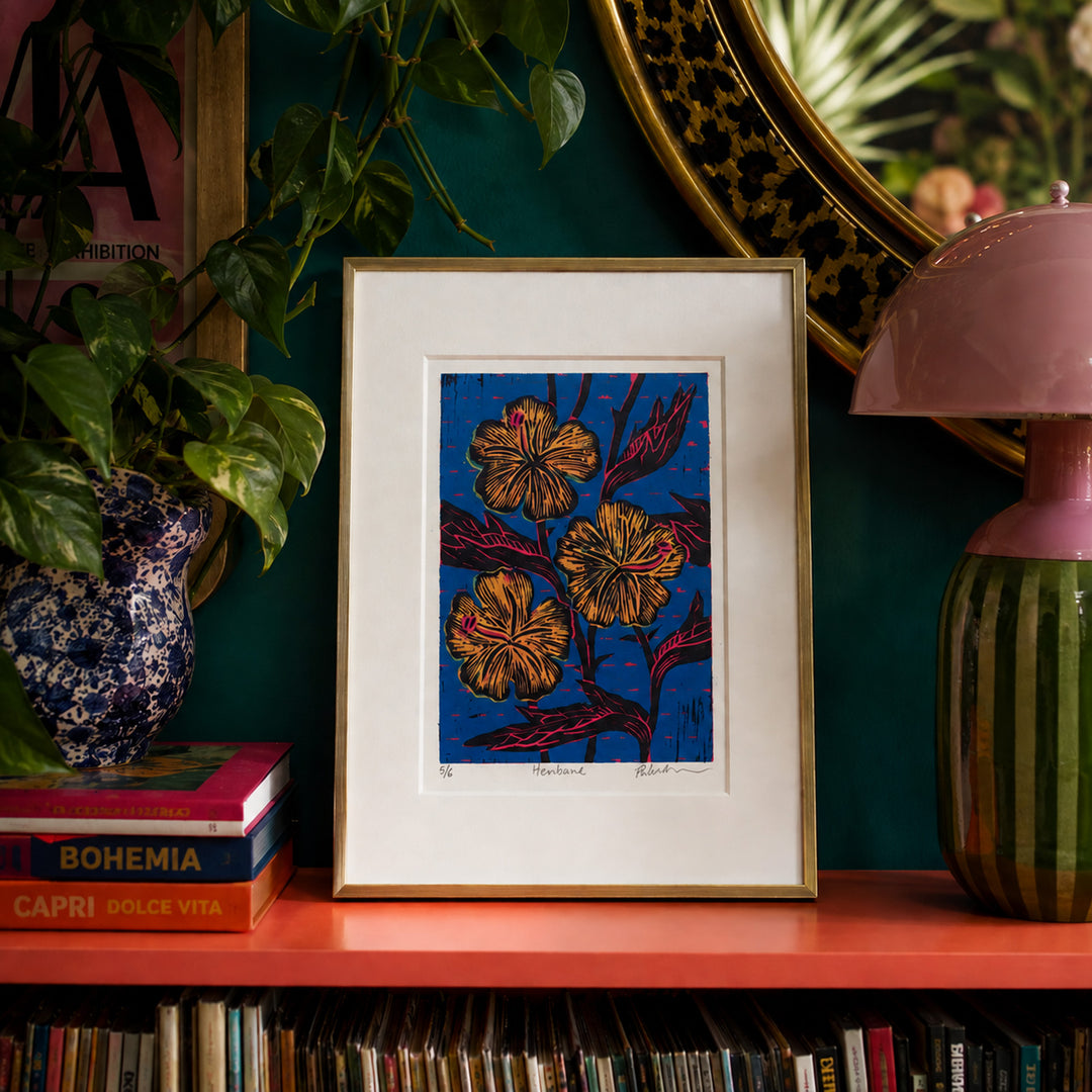 Henbane – Woodcut Bold