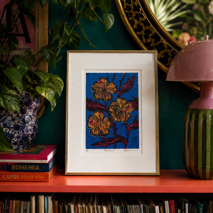 Henbane – Woodcut Bold